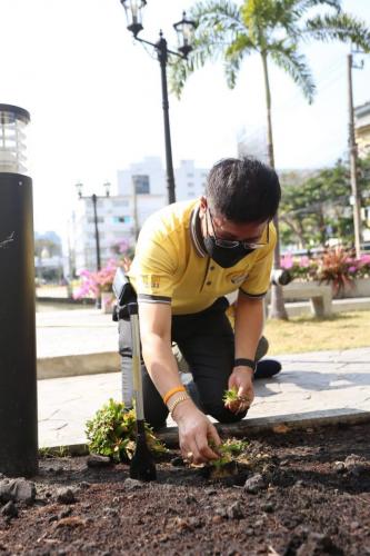 ปลูกต้นไม้ ๒๑๑๒๑๕ 12